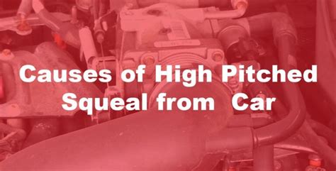 skid steer track high pitch squeel|Causes and Troubleshooting of Squealing Hydraulic Cylinders.